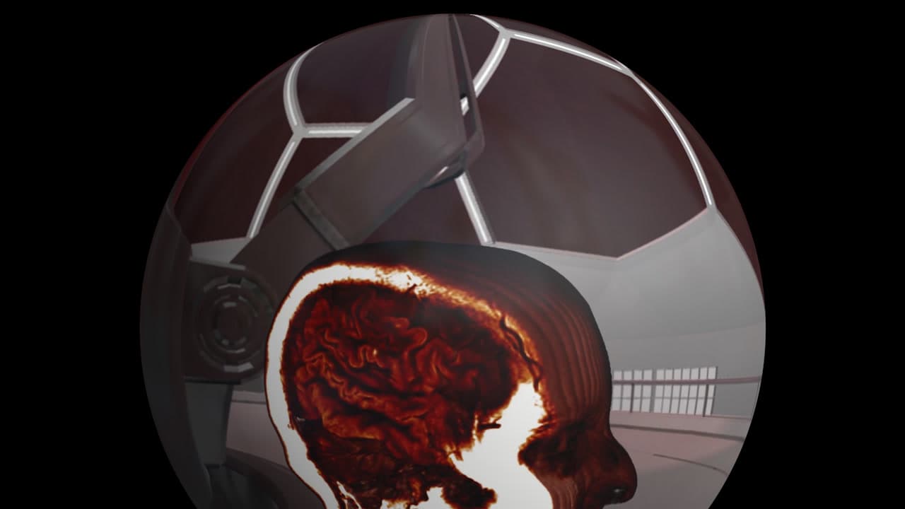 The Body VR: Anatomy Viewer