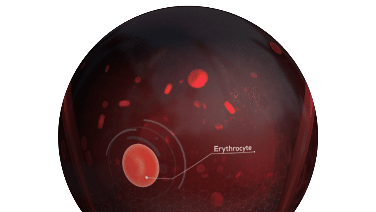 The Body VR: Journey Inside a Cell